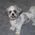 Crystal_Ritchie
