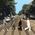 Telepathetic