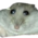hermantheplanetsmash