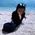Catherine_Galang