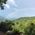 Sallie_Garlington