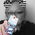 Darlene_Paterson