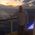 Roy_McFate