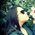 Nai_GD