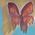 Mary_Anthony