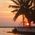 Kris_Crossley