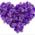 VioletBeth