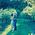 Taylor_Shank