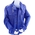 Blue_Jacket