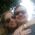 Karen_Goldman