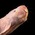 phallicmolerat