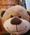 Shani_Irvine