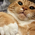 jennyl58