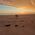Beverley_Richardson