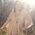 Jesse_Beardslee