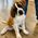 Diane_Duesler_Cowman