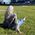 Karen_Onley