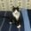 Margery_Pask
