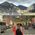 Janice_Zink