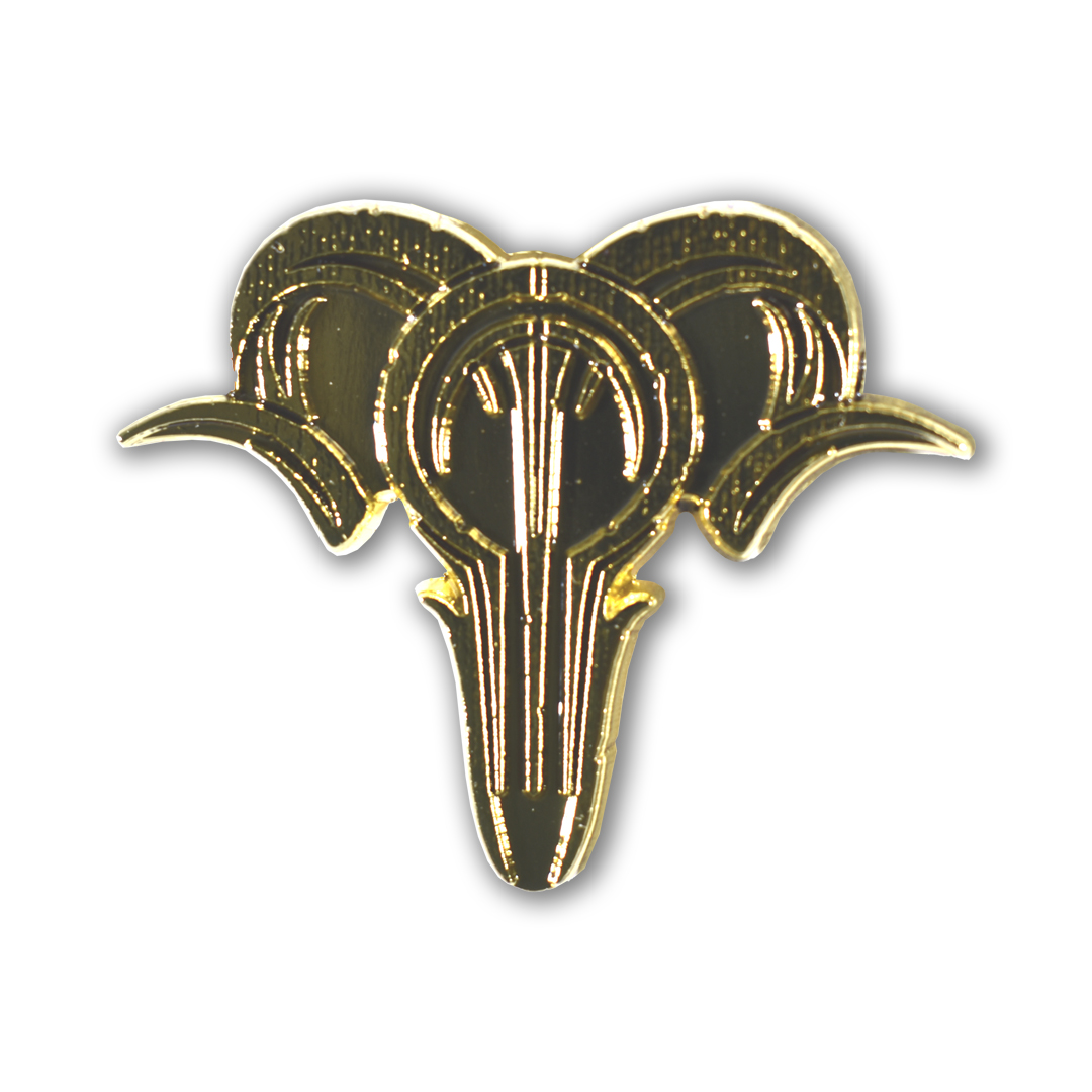 Dirtwire logo gold pin