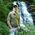 Dean_Marshall