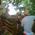 Peter_Laba