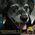 Trisha_Baker