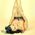 Kim_Williams_Hotchki