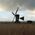 Hein_Hurkmans