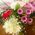 Jessica_Bilyou