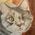 Mary_Knoska