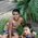 _augusto_Manoel