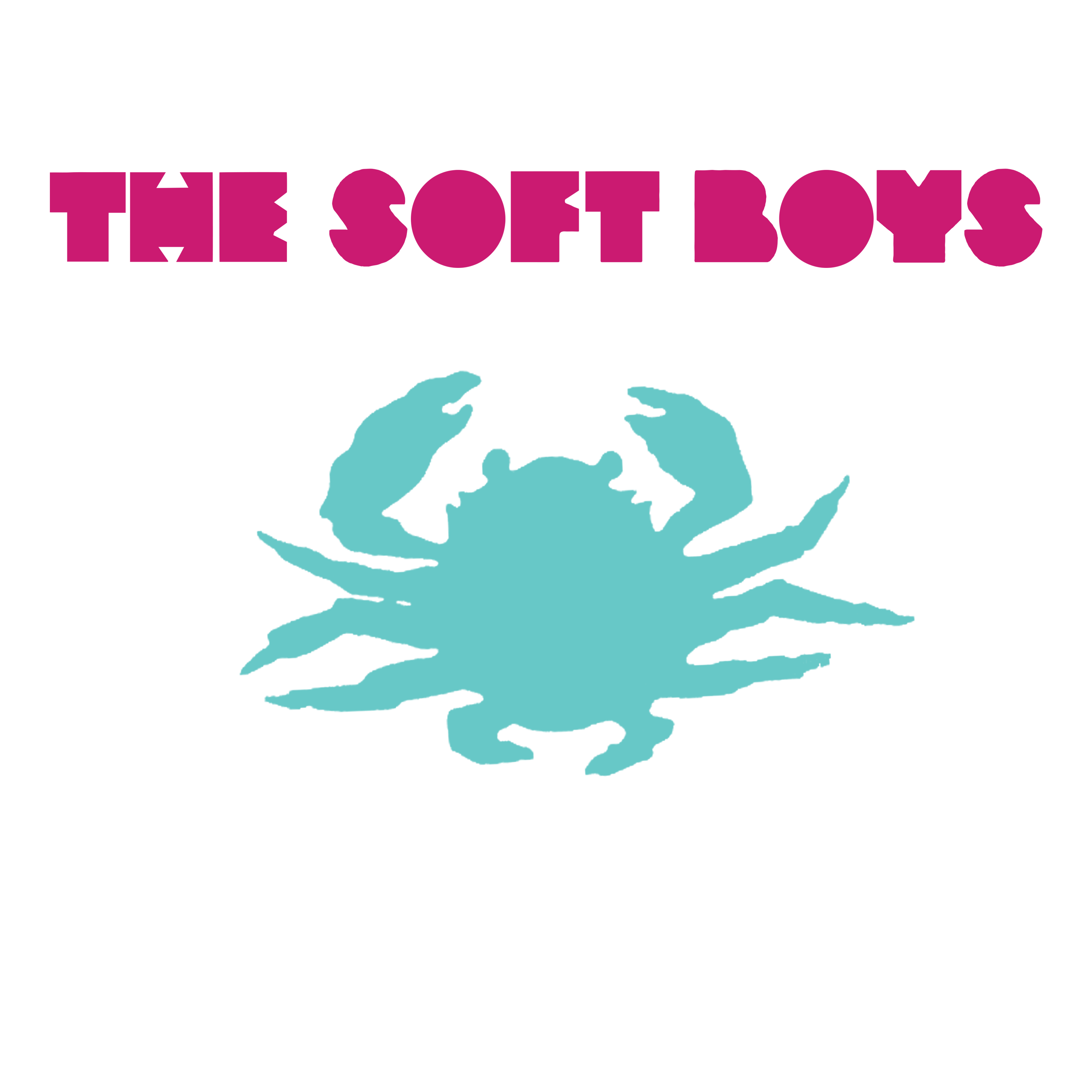 Soft boys underwater moonlight crab