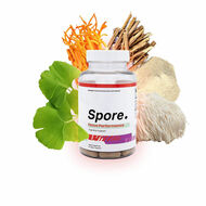 sporefocususa