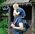 Alisdair_l