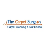 thecarpetsurgeon
