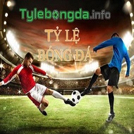 tylebongdainfo