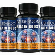 mushroombrainboost