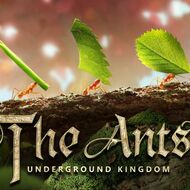The-Ants-hacks