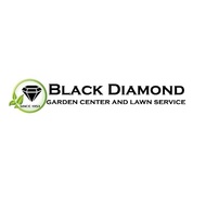 blackdiamondgrows