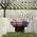 Anthony_Moore
