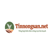 tinnongsan