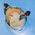 Michael_Anthony_Pete