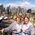 Elizabeth_O_Keefe