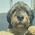 Bill_Renshaw
