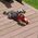 Charlene_Ledwich_Ste