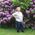 Susie_Donoho