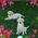 Debbie_Grise_Walling