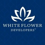whiteflower02