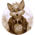 SciFox